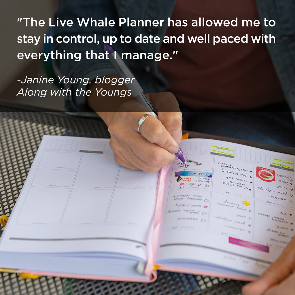 Live Whale Undated Planner, 12 Month Full Focus Weekly Planner / Monthly Productivity Journal for Habit Tracking, Wellness, Gratitude Journaling, Vegan-Friendly Moleskin Faux Leather Purple Goal Planner