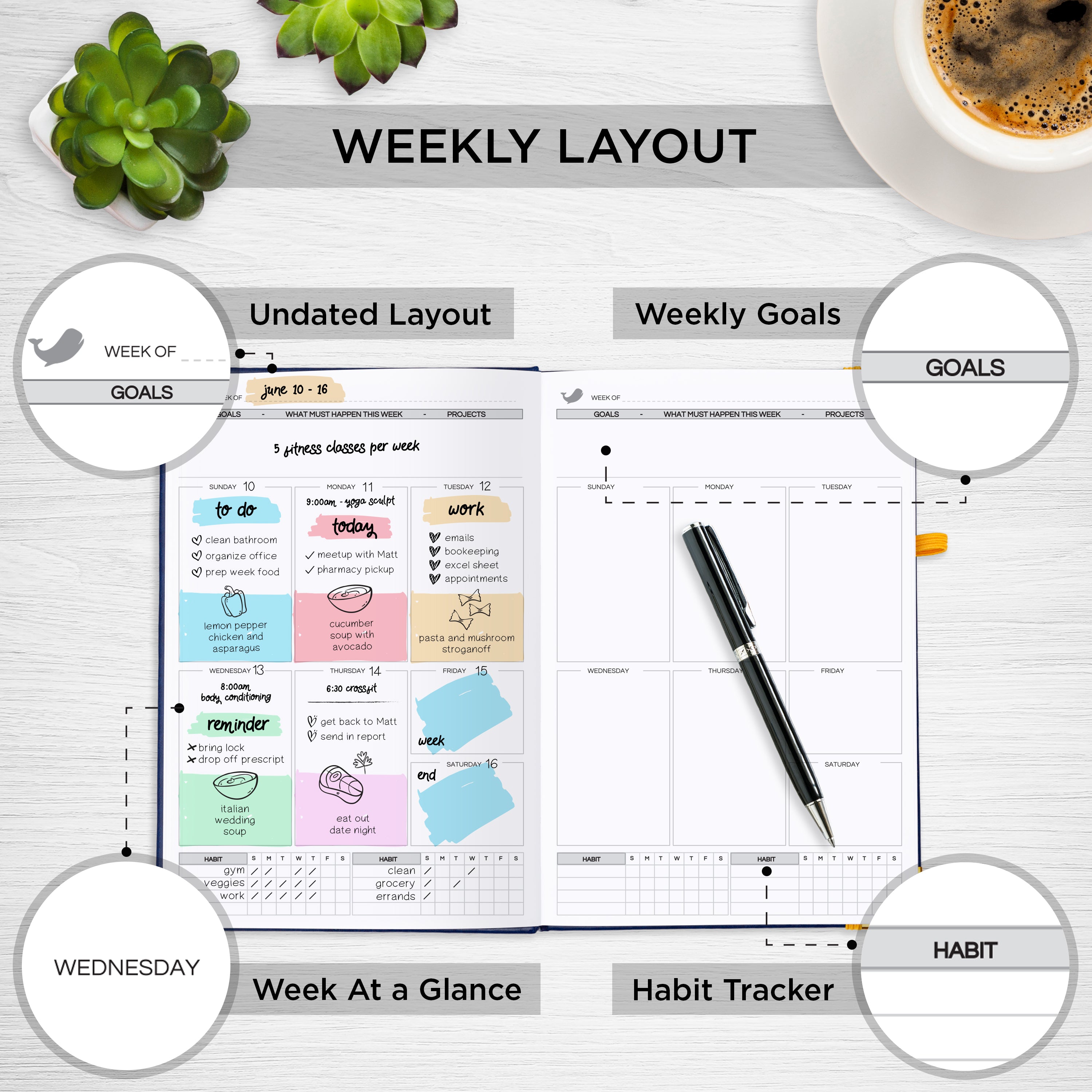 Live Whale Undated Planner, 3 Month Daily Organizer Planner / Monthly